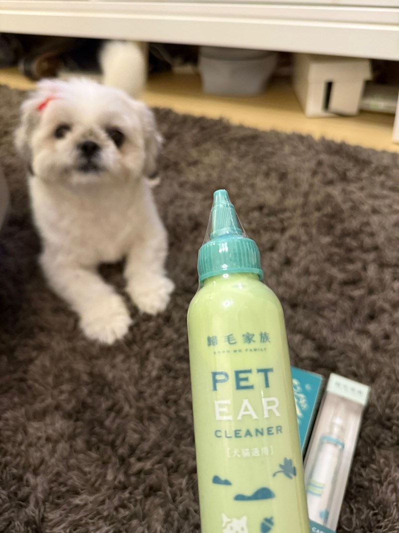 女人知己試用大隊,口碑行銷,部落客行銷,歸毛家族,歸毛家族萌耳液,歸毛家族萌耳靈,Goodmofamily歸毛家族 寵物萌耳保衛組,歸毛家族 萌耳保衛組,萌耳液,萌耳靈,精萃營養霜,耳道營養保護力,平衡耳道內油脂分泌,無抗生素,無類固醇,神經醯胺,歐盟有機認證成分,19種綜合胺基酸,榮獲SNQ國家認證,上萬毛爸媽見證,3週幫助耳道健康