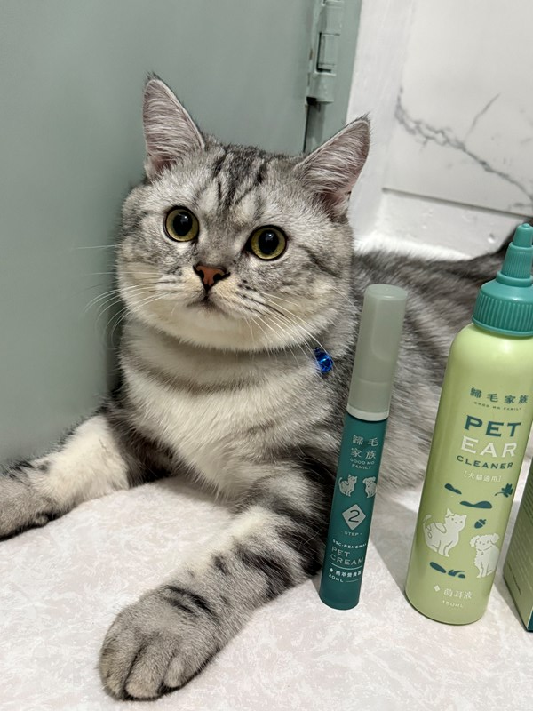 女人知己試用大隊,口碑行銷,部落客行銷,歸毛家族,歸毛家族萌耳液,歸毛家族萌耳靈,Goodmofamily歸毛家族 寵物萌耳保衛組,歸毛家族 萌耳保衛組,萌耳液,萌耳靈,精萃營養霜,耳道營養保護力,平衡耳道內油脂分泌,無抗生素,無類固醇,神經醯胺,歐盟有機認證成分,19種綜合胺基酸,榮獲SNQ國家認證,上萬毛爸媽見證,3週幫助耳道健康