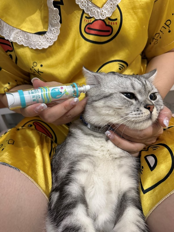 女人知己試用大隊,口碑行銷,部落客行銷,歸毛家族,歸毛家族萌耳液,歸毛家族萌耳靈,Goodmofamily歸毛家族 寵物萌耳保衛組,歸毛家族 萌耳保衛組,萌耳液,萌耳靈,精萃營養霜,耳道營養保護力,平衡耳道內油脂分泌,無抗生素,無類固醇,神經醯胺,歐盟有機認證成分,19種綜合胺基酸,榮獲SNQ國家認證,上萬毛爸媽見證,3週幫助耳道健康