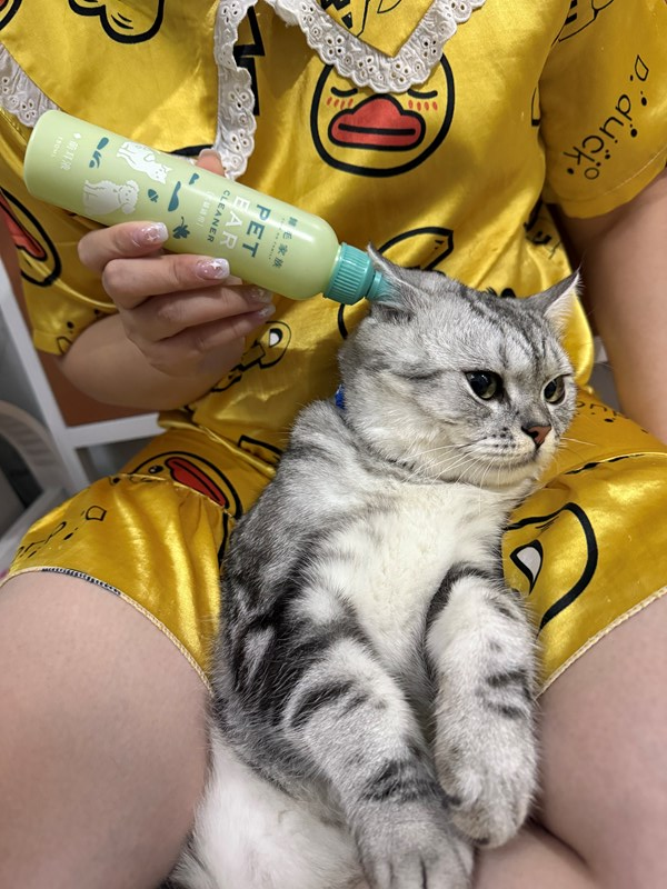 女人知己試用大隊,口碑行銷,部落客行銷,歸毛家族,歸毛家族萌耳液,歸毛家族萌耳靈,Goodmofamily歸毛家族 寵物萌耳保衛組,歸毛家族 萌耳保衛組,萌耳液,萌耳靈,精萃營養霜,耳道營養保護力,平衡耳道內油脂分泌,無抗生素,無類固醇,神經醯胺,歐盟有機認證成分,19種綜合胺基酸,榮獲SNQ國家認證,上萬毛爸媽見證,3週幫助耳道健康