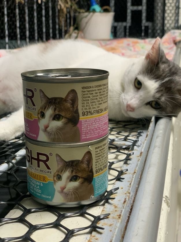 女人知己試用大隊,口碑行銷,部落客行銷,來自純淨自然無汙染的紐西蘭,自然主食罐,GHR 健康主義,GHR,貓用主食罐,貓罐,GHR貓用無穀主食罐,雞肉蔓越莓配方,鹿肉雞肉配方,牛羊加雞配方,刷尾負鼠肉雞肉配方,評價,口碑,適口性佳,心得,紐西蘭GHR,罐頭,貓咪,牛磺酸,軟骨素,維生素關節保健