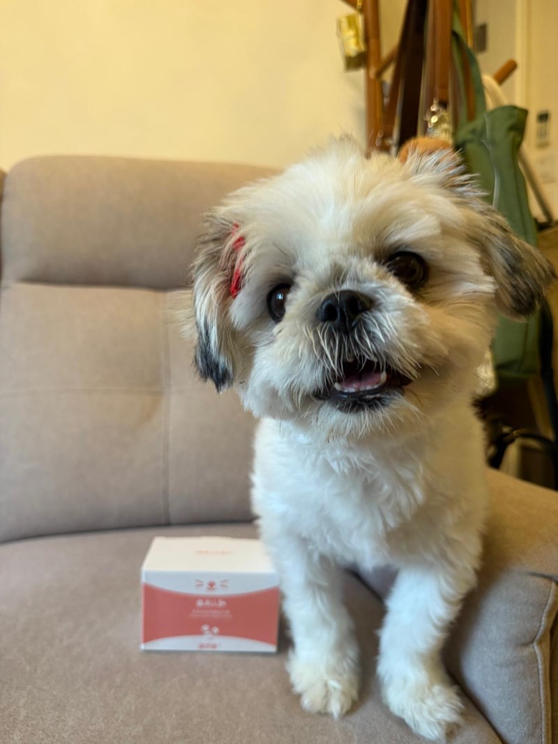 女人知己試用大隊,口碑行銷,部落客行銷,維舒康益生菌系列,維舒康,益生菌,後生元,益ALL勁,益FU勁,益CO勁,免疫保健,皮膚保健,口腔腸道保健