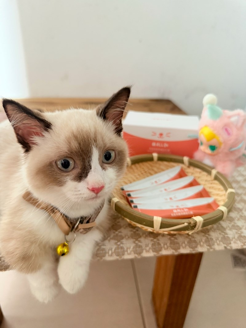 女人知己試用大隊,口碑行銷,部落客行銷,維舒康益生菌系列,維舒康,益生菌,後生元,益ALL勁,益FU勁,益CO勁,免疫保健,皮膚保健,口腔腸道保健