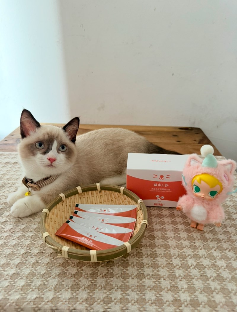 女人知己試用大隊,口碑行銷,部落客行銷,維舒康益生菌系列,維舒康,益生菌,後生元,益ALL勁,益FU勁,益CO勁,免疫保健,皮膚保健,口腔腸道保健