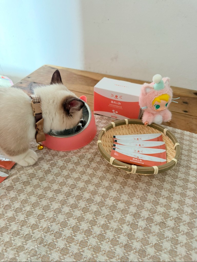 女人知己試用大隊,口碑行銷,部落客行銷,維舒康益生菌系列,維舒康,益生菌,後生元,益ALL勁,益FU勁,益CO勁,免疫保健,皮膚保健,口腔腸道保健