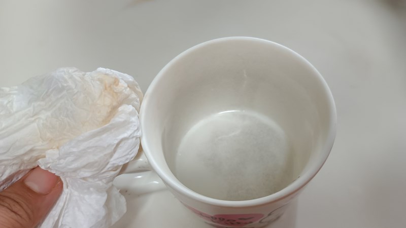 試用