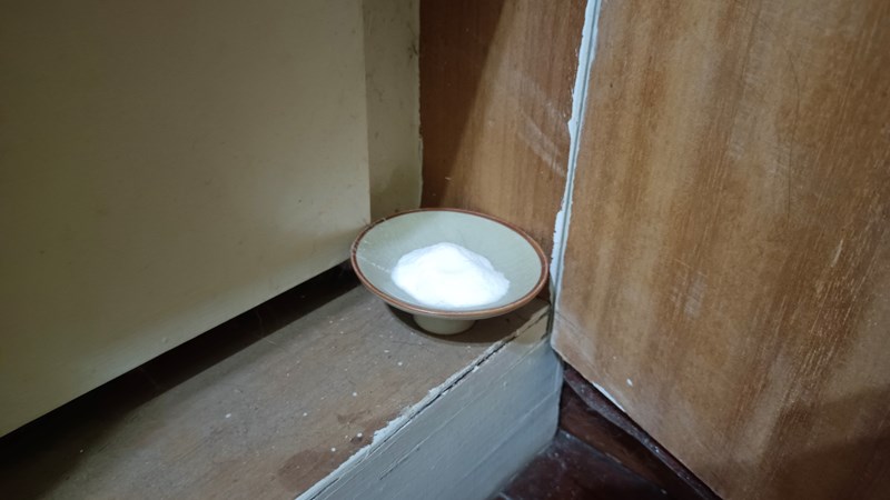試用