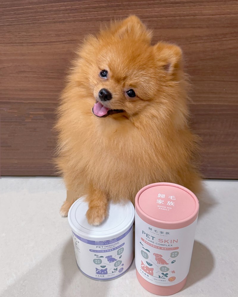 歸毛家族 Good寶系列寵物保健品 免疫寶+美膚寶|守護毛孩從打底開始的日常保養開箱 封面圖