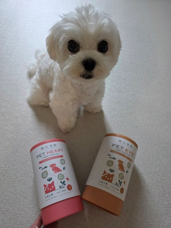 女人知己試用大隊,口碑行銷,部落客行銷,歸毛家族 Good寶寵物保健品,護心寶,視力寶,好吸收的小分子劑型,專業營養師團隊,堅持完整複方,多項國際專利認證,巴西綠蜂膠,游離型葉黃素,保持眼睛明亮,保護視力,專利蚓激酶,輔酵素Q10,幫助血液循環,心血管保健