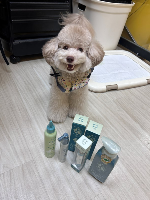 女人知己試用大隊,口碑行銷,部落客行銷,歸毛家族,歸毛家族萌耳液,歸毛家族萌耳靈,Goodmofamily歸毛家族 寵物萌耳保衛組,歸毛家族 萌耳保衛組,萌耳液,萌耳靈,精萃營養霜,耳道營養保護力,平衡耳道內油脂分泌,無抗生素,無類固醇,神經醯胺,歐盟有機認證成分,19種綜合胺基酸,榮獲SNQ國家認證,上萬毛爸媽見證,3週幫助耳道健康