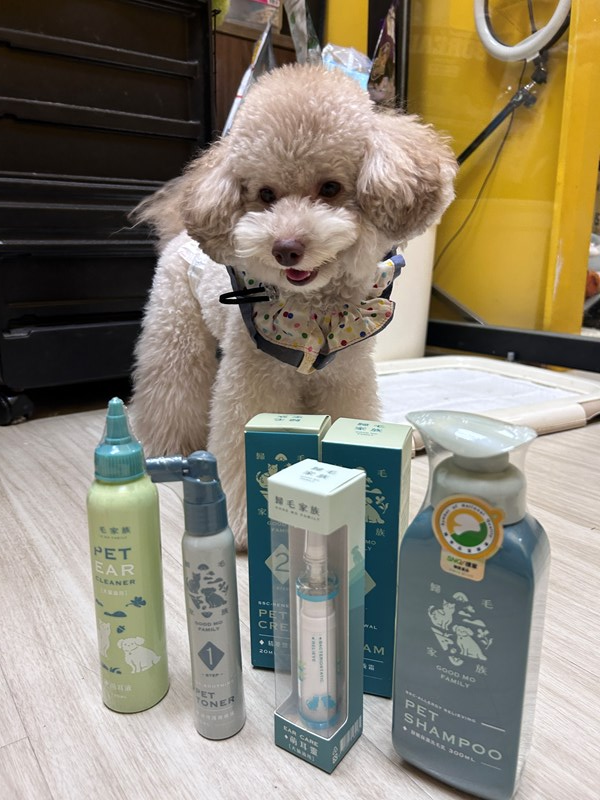 女人知己試用大隊,口碑行銷,部落客行銷,歸毛家族,歸毛家族萌耳液,歸毛家族萌耳靈,Goodmofamily歸毛家族 寵物萌耳保衛組,歸毛家族 萌耳保衛組,萌耳液,萌耳靈,精萃營養霜,耳道營養保護力,平衡耳道內油脂分泌,無抗生素,無類固醇,神經醯胺,歐盟有機認證成分,19種綜合胺基酸,榮獲SNQ國家認證,上萬毛爸媽見證,3週幫助耳道健康