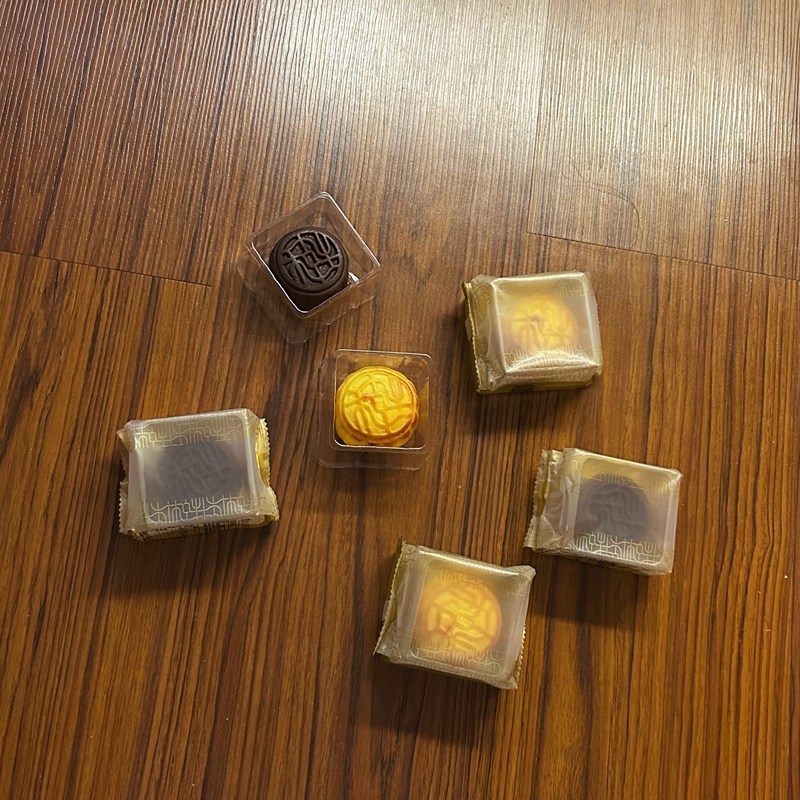 試用
