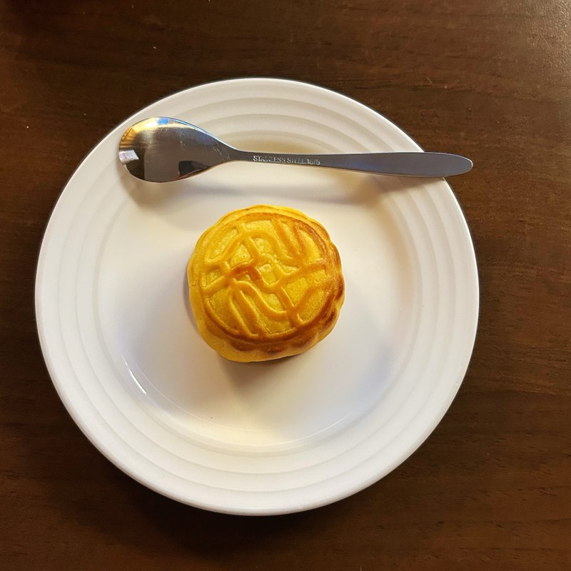 試用