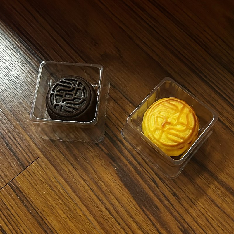 試用
