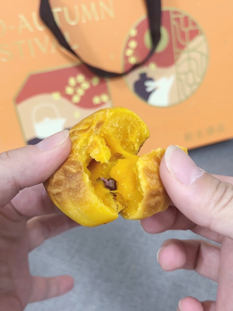 試用