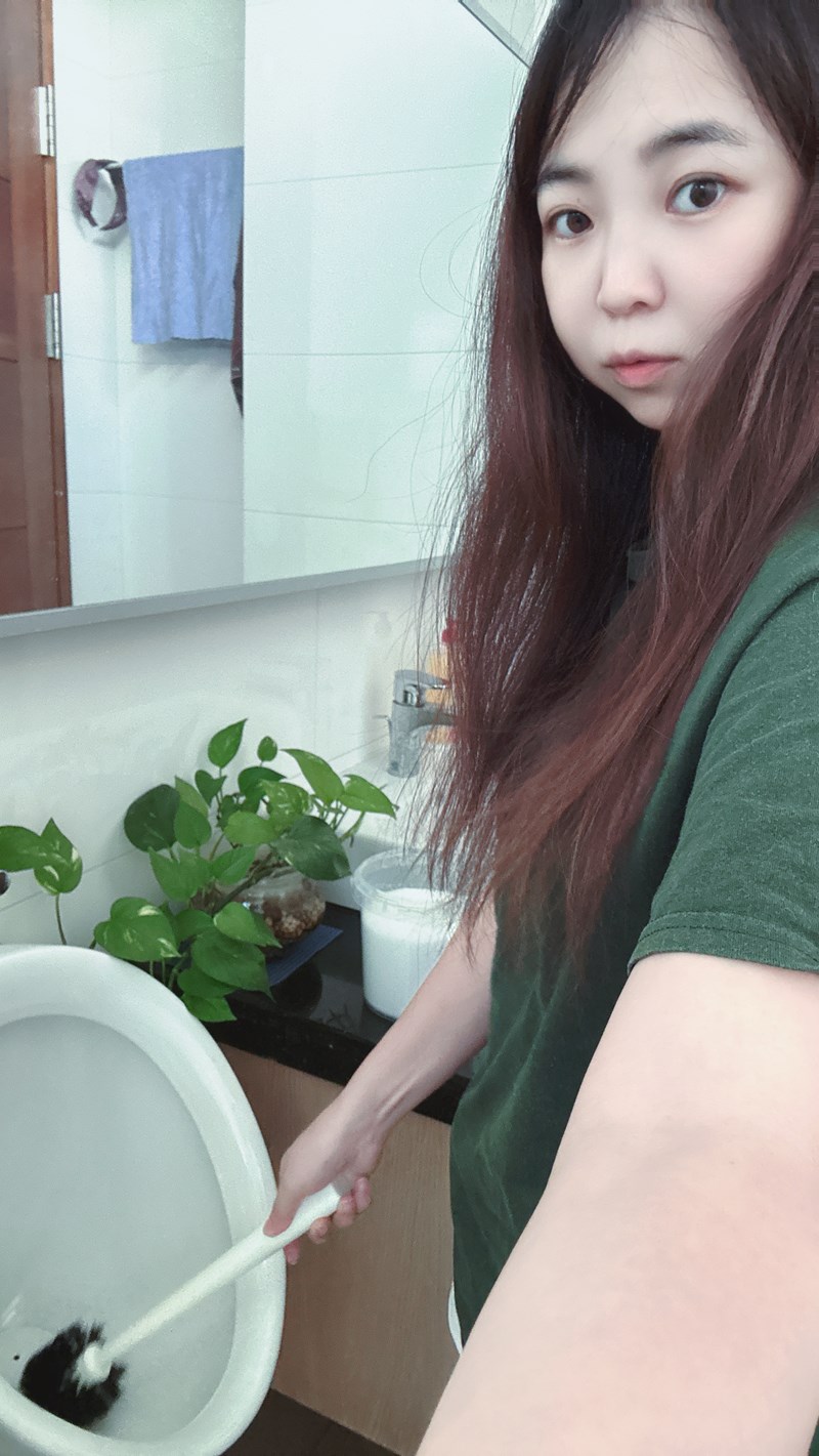 試用