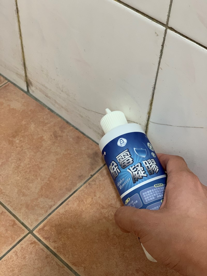 試用