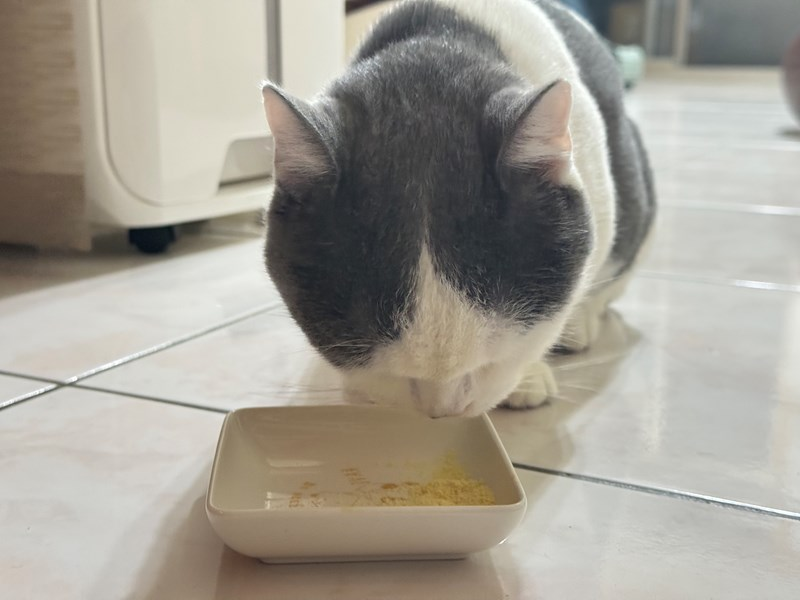 女人知己試用大隊,口碑行銷,部落客行銷,維舒康益生菌系列,維舒康,益生菌,後生元,益ALL勁,益FU勁,益CO勁,免疫保健,皮膚保健,口腔腸道保健