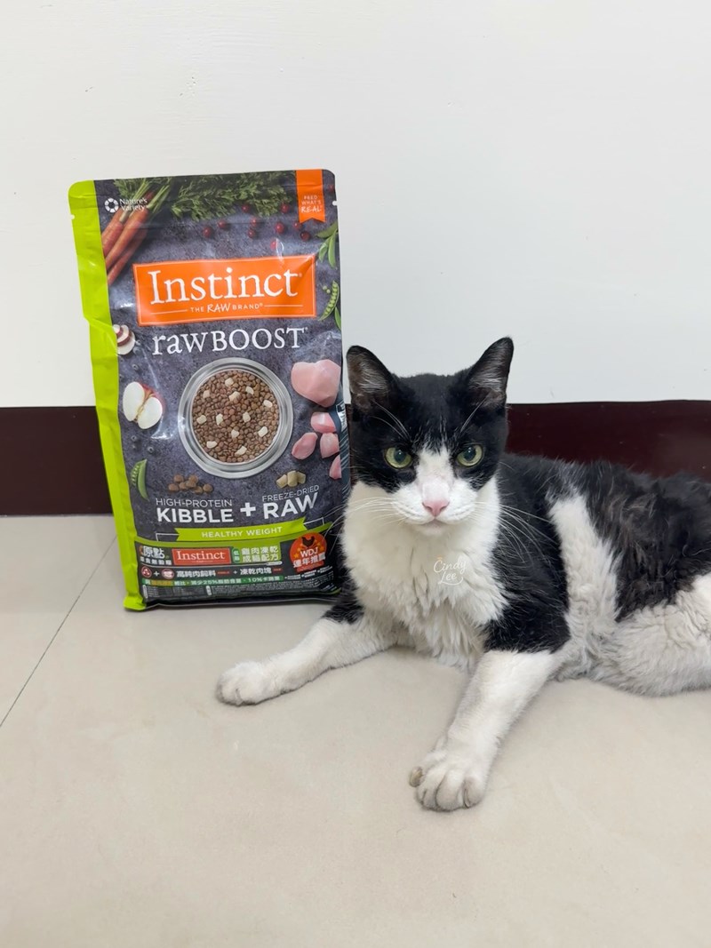 [寵物]美國原點Instinct【健康體態低脂雞肉凍乾成貓配