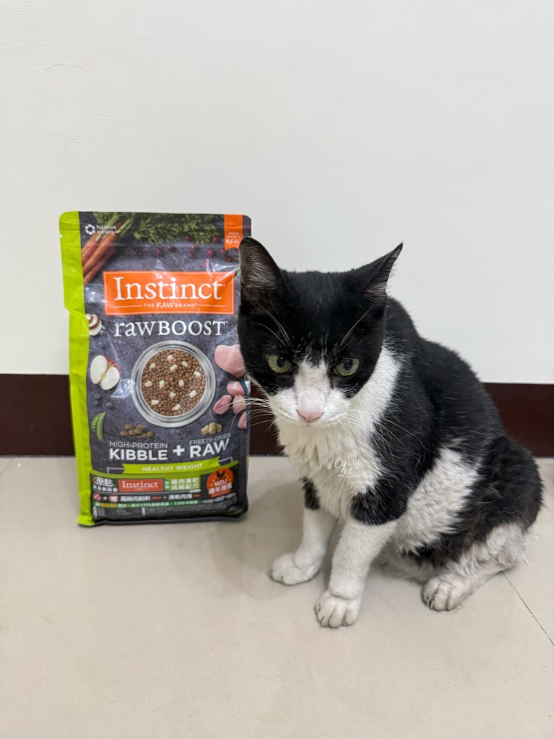 [寵物]美國原點Instinct【健康體態低脂雞肉凍乾成貓配