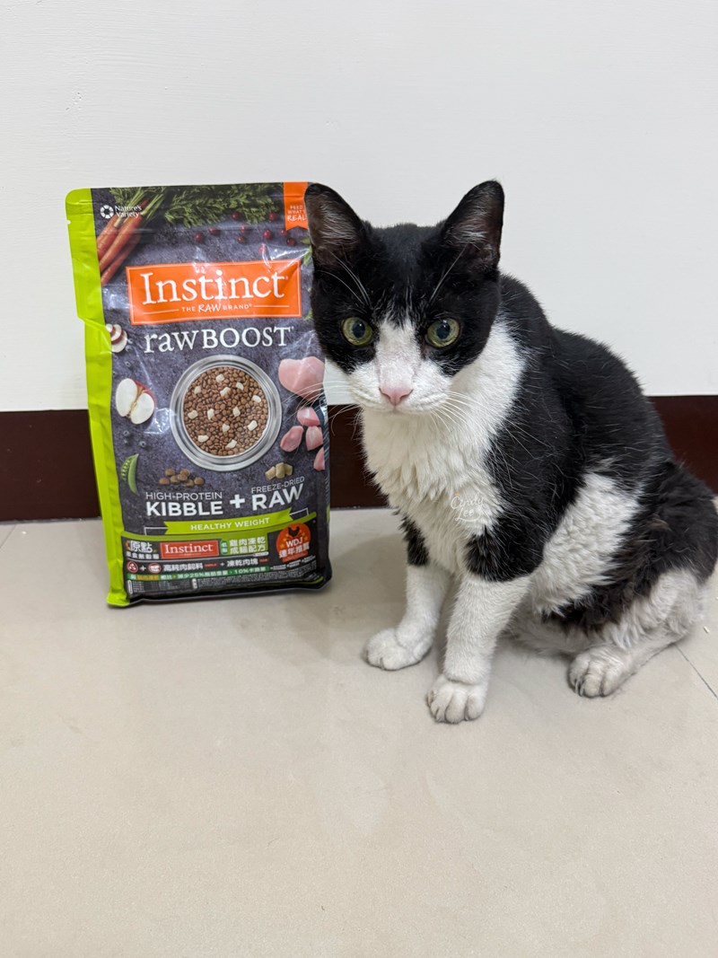 [寵物]美國原點Instinct【健康體態低脂雞肉凍乾成貓配