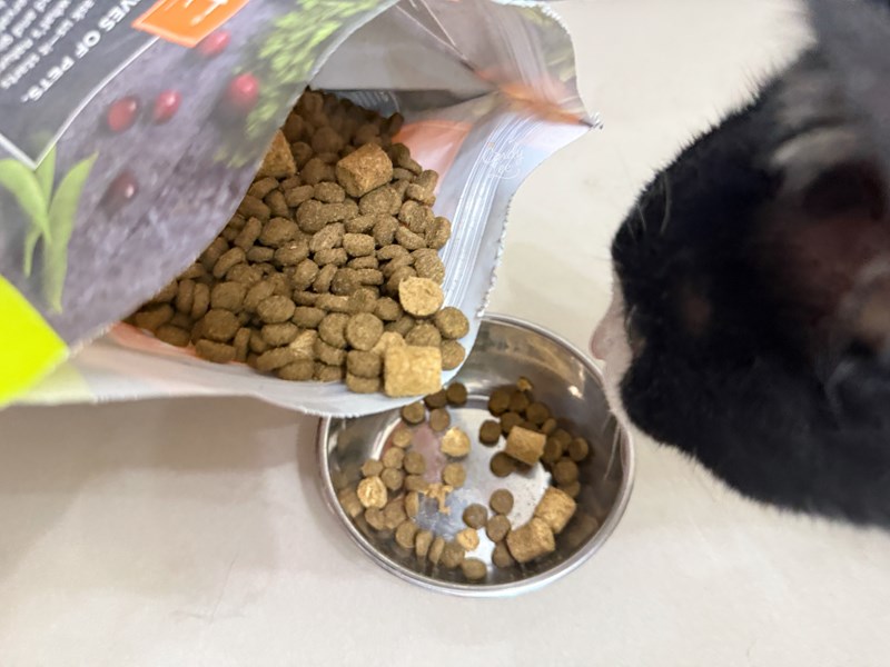 [寵物]美國原點Instinct【健康體態低脂雞肉凍乾成貓配