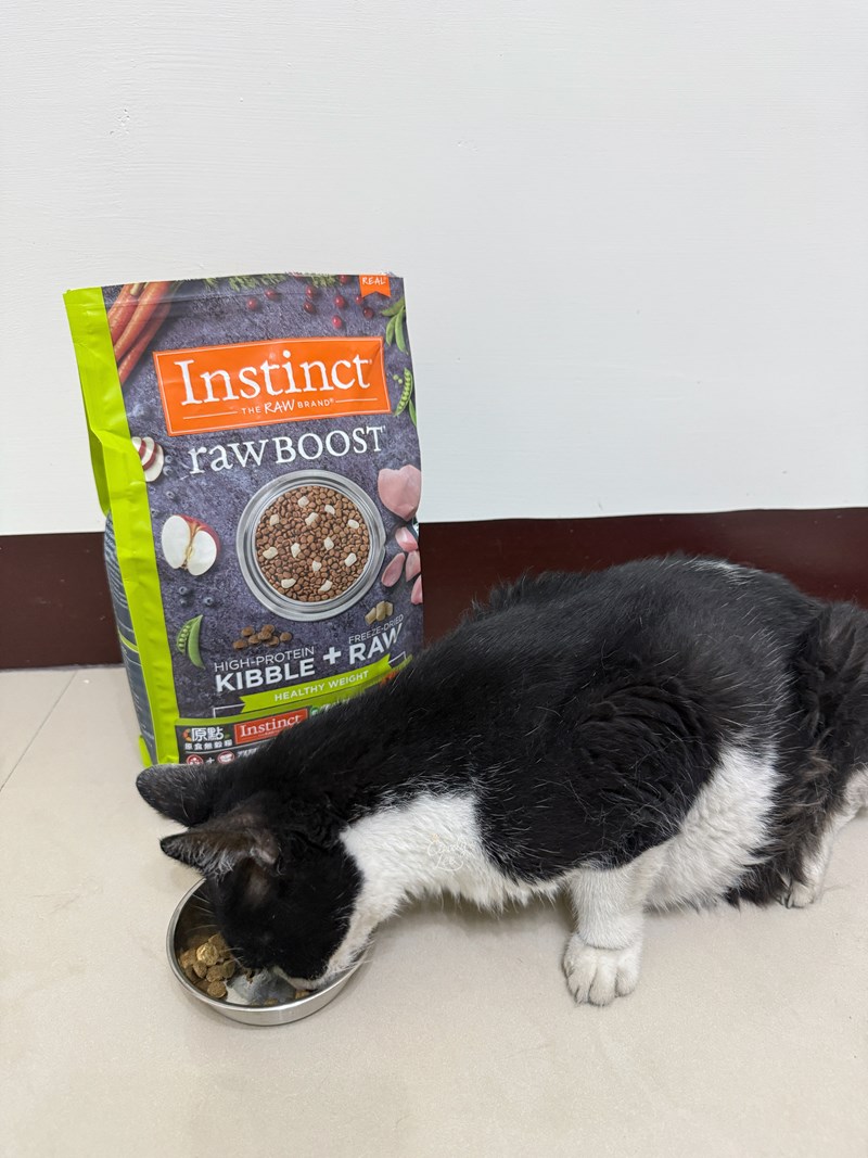 [寵物]美國原點Instinct【健康體態低脂雞肉凍乾成貓配