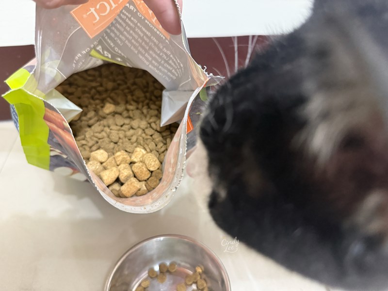 [寵物]美國原點Instinct【健康體態低脂雞肉凍乾成貓配