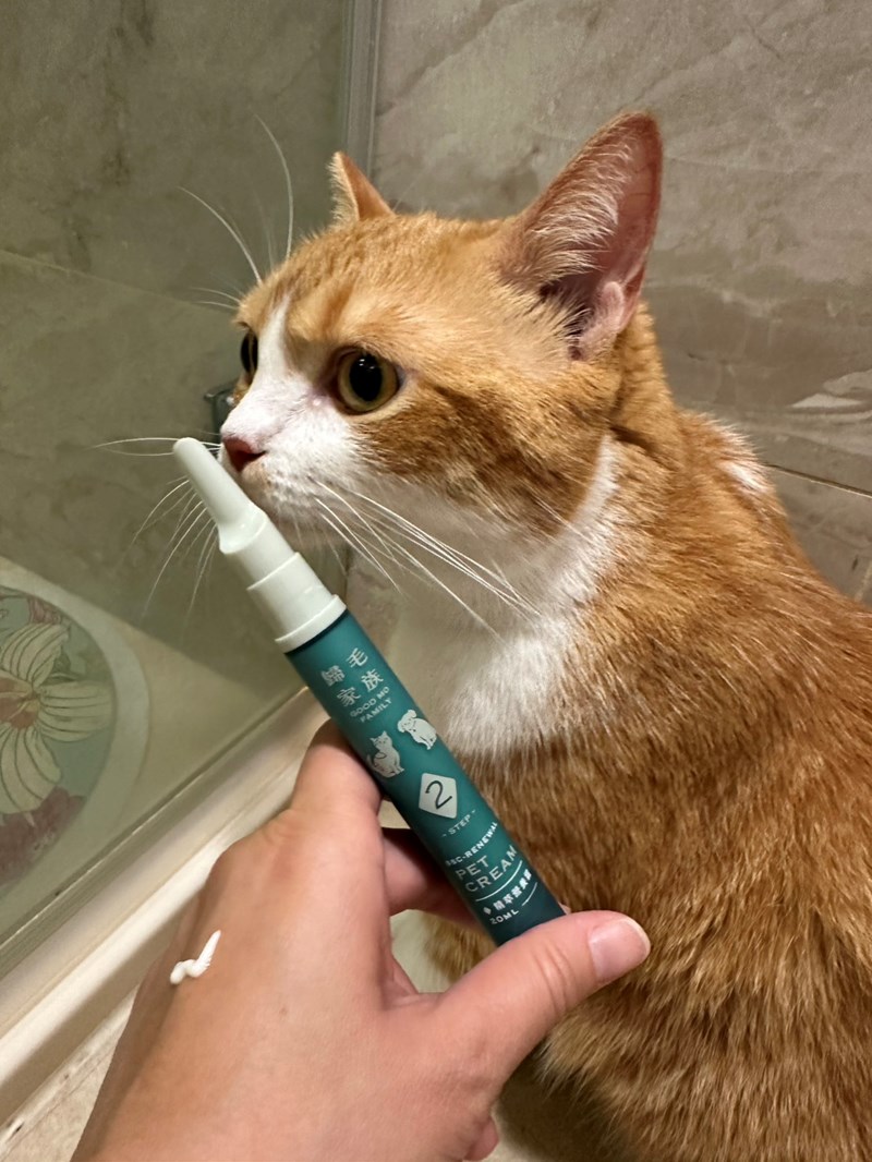 Goodmofamily歸毛家族 寵物肌膚救星組 - 第8張圖 試用