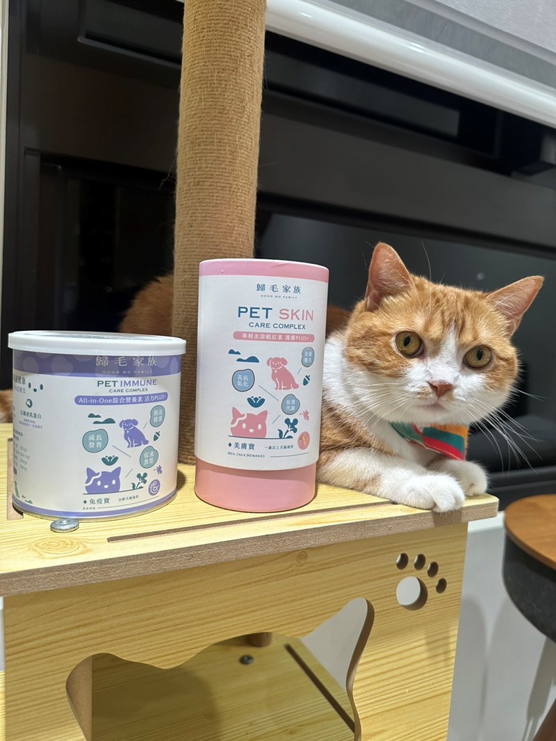 Goodmofamily歸毛家族 Good寶系列寵物保健品:免疫寶+美膚寶 - 第1張圖 試用