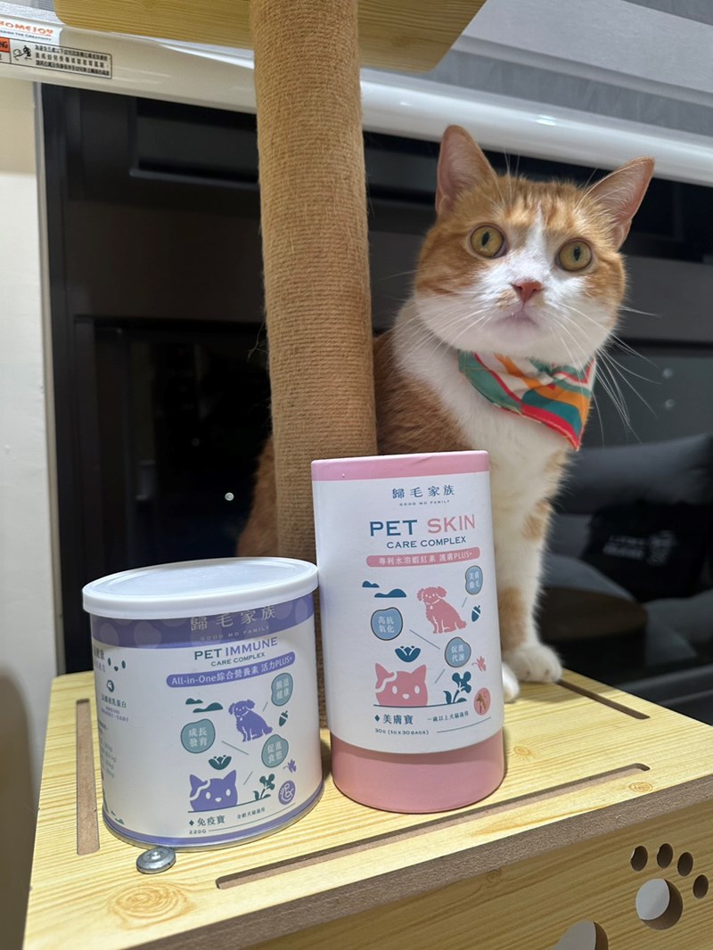 Goodmofamily歸毛家族 Good寶系列寵物保健品:免疫寶+美膚寶 - 第2張圖 試用