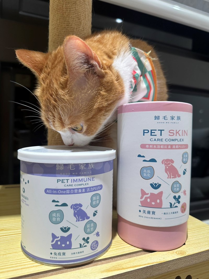 Goodmofamily歸毛家族 Good寶系列寵物保健品:免疫寶+美膚寶 - 第3張圖 試用