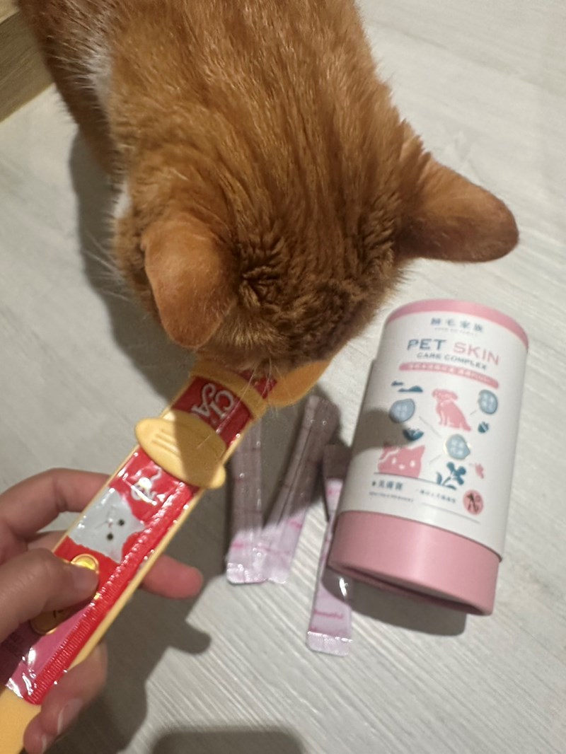 女人知己試用大隊,口碑行銷,部落客行銷,Goodmofamily歸毛家族 Good寶系列寵物保健品,歸毛家族Good寶系列寵物保健品,美膚寶,免疫寶,專利雙效益菌累積達140項認證,法國初乳蛋白,美國專利魚油粉,針對五臟六腑全面打底,維持免疫力,維持抵抗力,專利水溶蝦紅素,抗氧化之王,無毒養殖去殼鱉蛋粉,富含卵磷脂,好吸收的小分子劑型,堅持完整複方,多項國際專利認證,專業營養師團隊