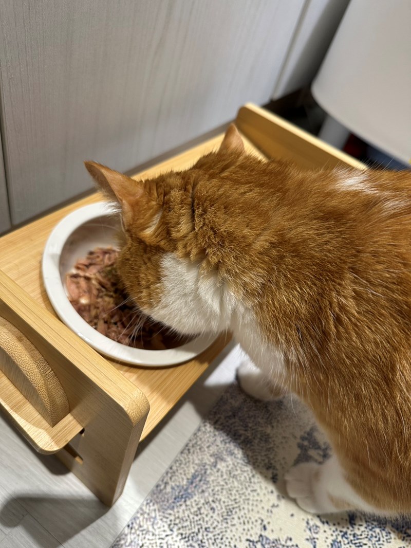 女人知己試用大隊,口碑行銷,部落客行銷,Goodmofamily歸毛家族 Good寶系列寵物保健品,歸毛家族Good寶系列寵物保健品,美膚寶,免疫寶,專利雙效益菌累積達140項認證,法國初乳蛋白,美國專利魚油粉,針對五臟六腑全面打底,維持免疫力,維持抵抗力,專利水溶蝦紅素,抗氧化之王,無毒養殖去殼鱉蛋粉,富含卵磷脂,好吸收的小分子劑型,堅持完整複方,多項國際專利認證,專業營養師團隊