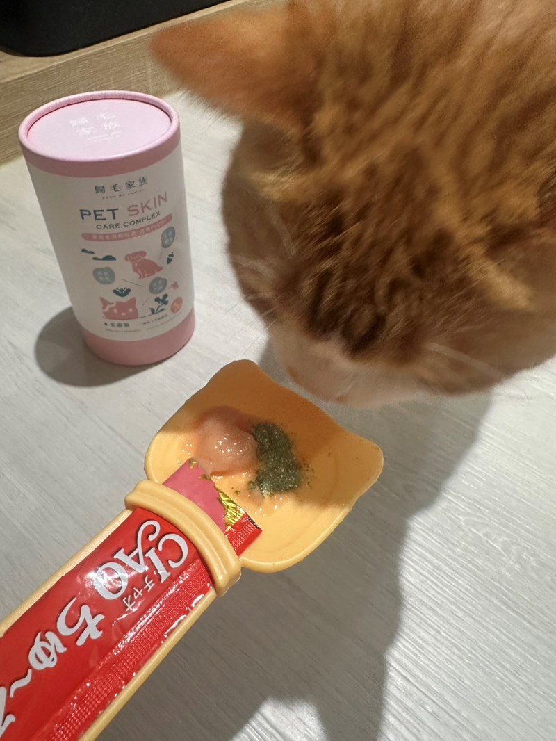 女人知己試用大隊,口碑行銷,部落客行銷,Goodmofamily歸毛家族 Good寶系列寵物保健品,歸毛家族Good寶系列寵物保健品,美膚寶,免疫寶,專利雙效益菌累積達140項認證,法國初乳蛋白,美國專利魚油粉,針對五臟六腑全面打底,維持免疫力,維持抵抗力,專利水溶蝦紅素,抗氧化之王,無毒養殖去殼鱉蛋粉,富含卵磷脂,好吸收的小分子劑型,堅持完整複方,多項國際專利認證,專業營養師團隊