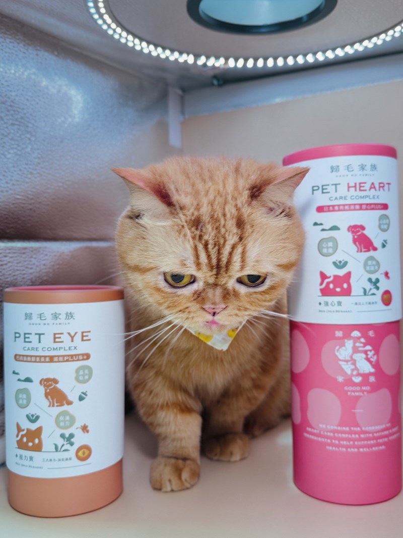 女人知己試用大隊,口碑行銷,部落客行銷,歸毛家族 Good寶寵物保健品,護心寶,視力寶,好吸收的小分子劑型,專業營養師團隊,堅持完整複方,多項國際專利認證,巴西綠蜂膠,游離型葉黃素,保持眼睛明亮,保護視力,專利蚓激酶,輔酵素Q10,幫助血液循環,心血管保健