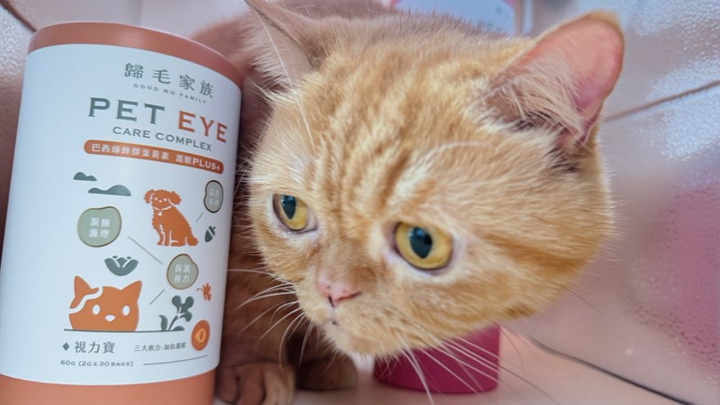 女人知己試用大隊,口碑行銷,部落客行銷,歸毛家族 Good寶寵物保健品,護心寶,視力寶,好吸收的小分子劑型,專業營養師團隊,堅持完整複方,多項國際專利認證,巴西綠蜂膠,游離型葉黃素,保持眼睛明亮,保護視力,專利蚓激酶,輔酵素Q10,幫助血液循環,心血管保健