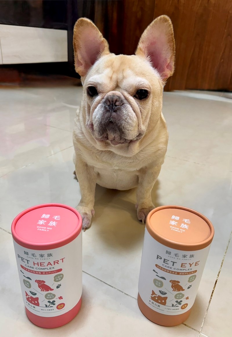 女人知己試用大隊,口碑行銷,部落客行銷,歸毛家族 Good寶寵物保健品,護心寶,視力寶,好吸收的小分子劑型,專業營養師團隊,堅持完整複方,多項國際專利認證,巴西綠蜂膠,游離型葉黃素,保持眼睛明亮,保護視力,專利蚓激酶,輔酵素Q10,幫助血液循環,心血管保健