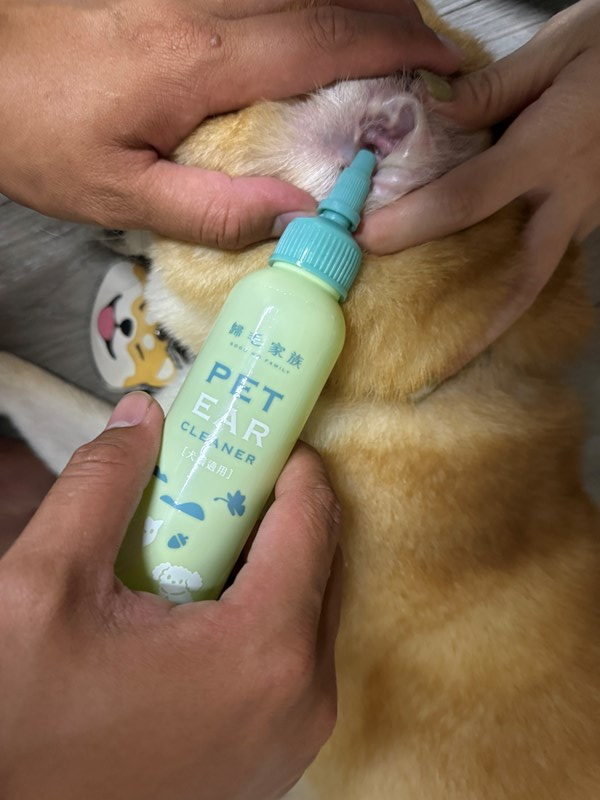 女人知己試用大隊,口碑行銷,部落客行銷,歸毛家族,歸毛家族萌耳液,歸毛家族萌耳靈,Goodmofamily歸毛家族 寵物萌耳保衛組,歸毛家族 萌耳保衛組,萌耳液,萌耳靈,精萃營養霜,耳道營養保護力,平衡耳道內油脂分泌,無抗生素,無類固醇,神經醯胺,歐盟有機認證成分,19種綜合胺基酸,榮獲SNQ國家認證,上萬毛爸媽見證,3週幫助耳道健康