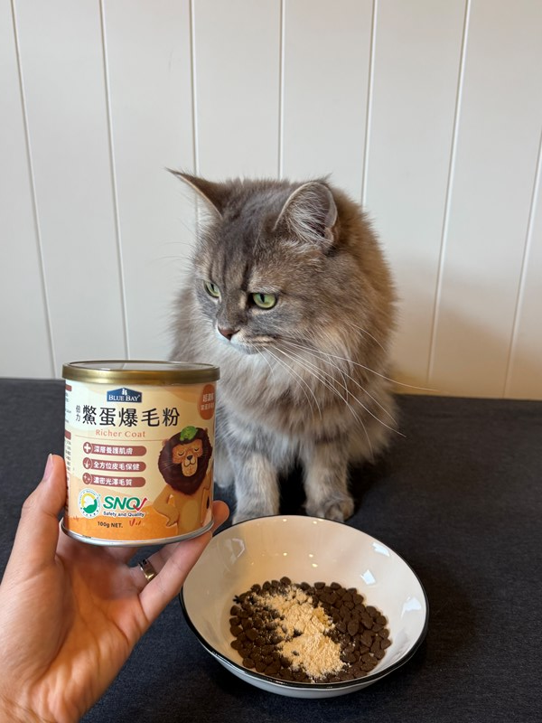 女人知己試用大隊,口碑行銷,部落客行銷,bluebay倍力鱉蛋爆毛養膚粉,倍力鱉蛋粉,鱉蛋粉推薦,養毛粉,換季掉毛,爆毛滑順,皮毛搔癢,鱉蛋粉皮膚,老狗鱉蛋粉,貓咪鱉蛋粉,搔抓,貓皮膚病/貓癬,皮膚保健,皮毛保健
