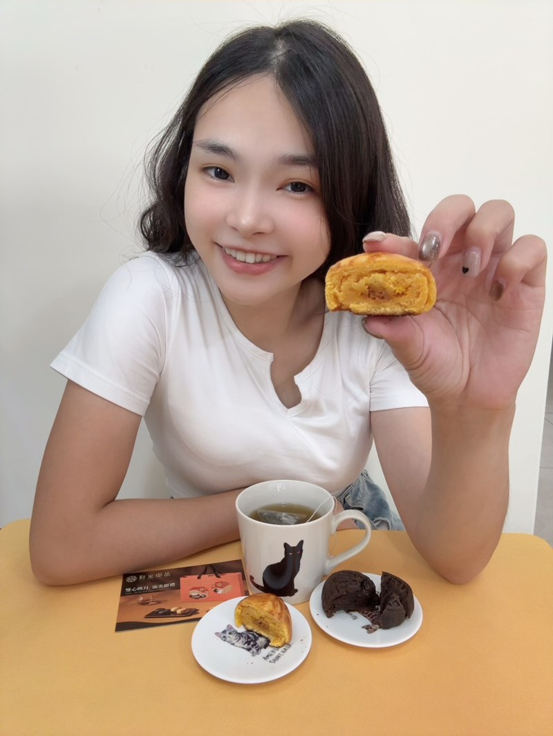 試用