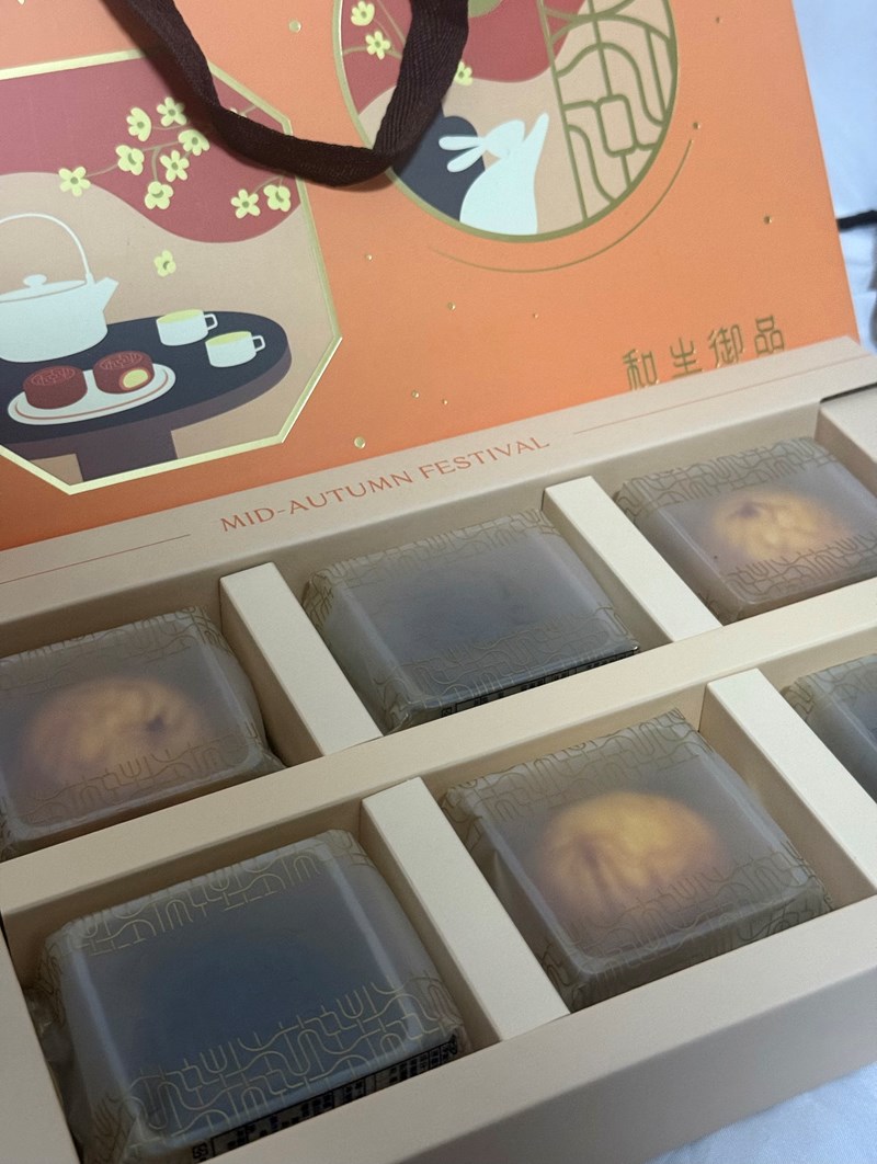 試用