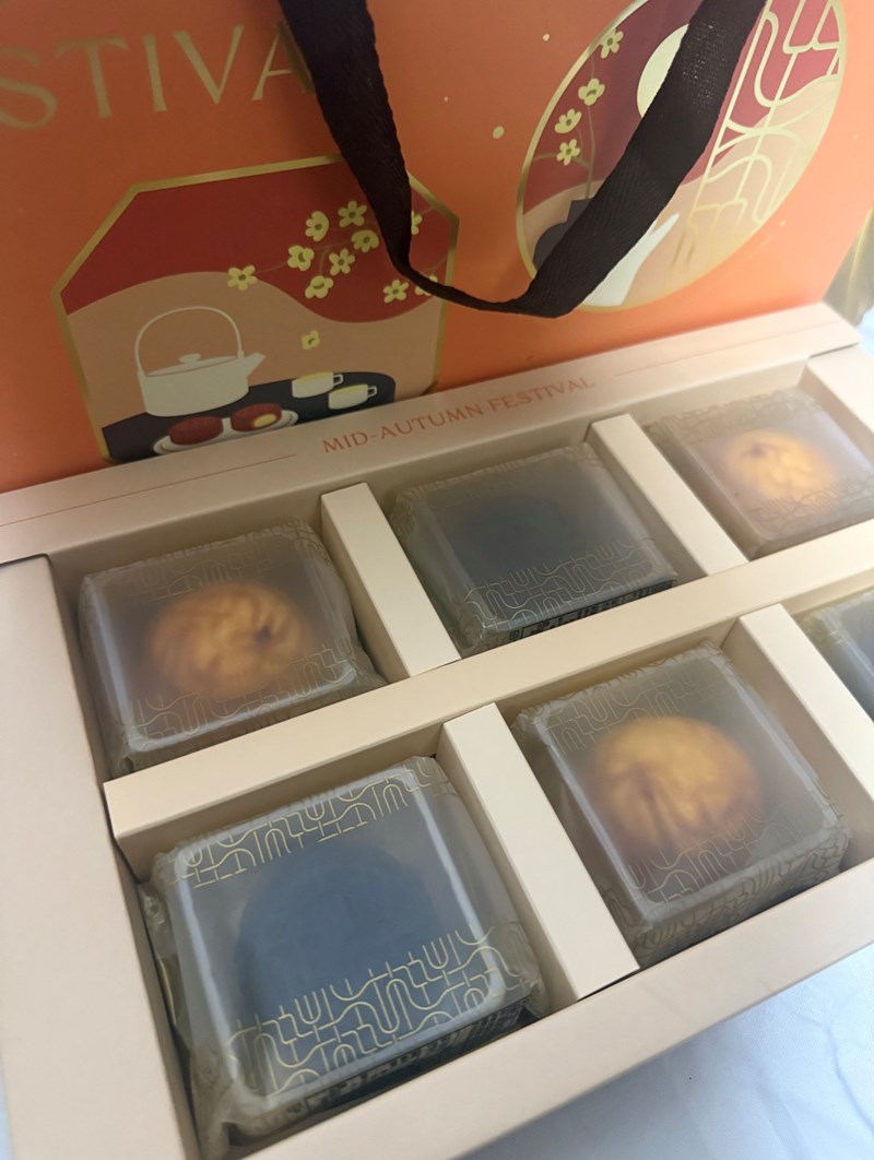 試用