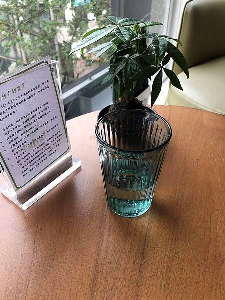 試用
