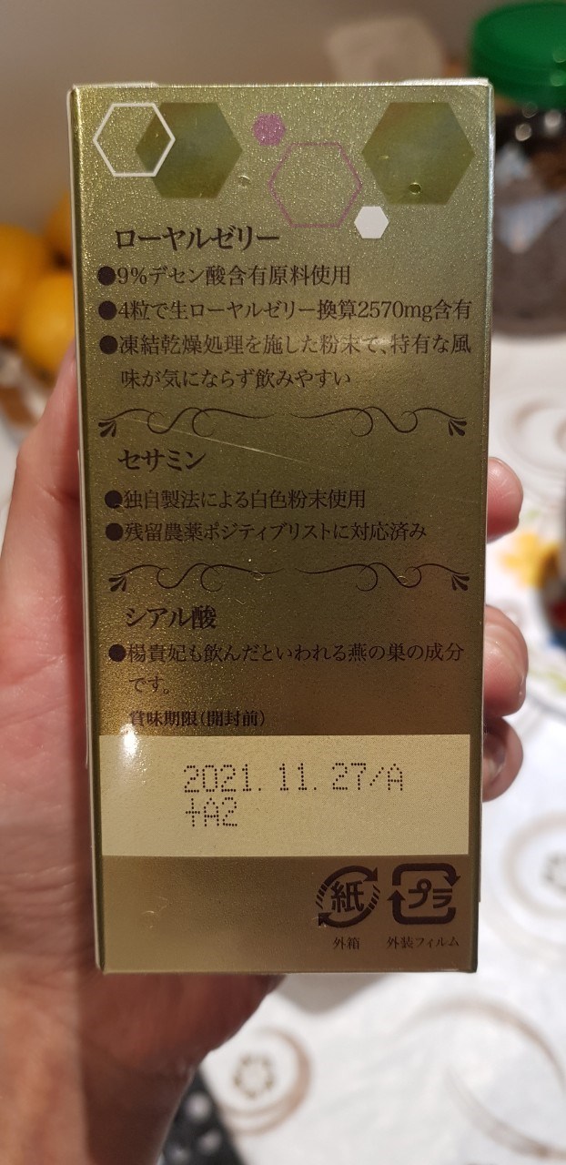 試用