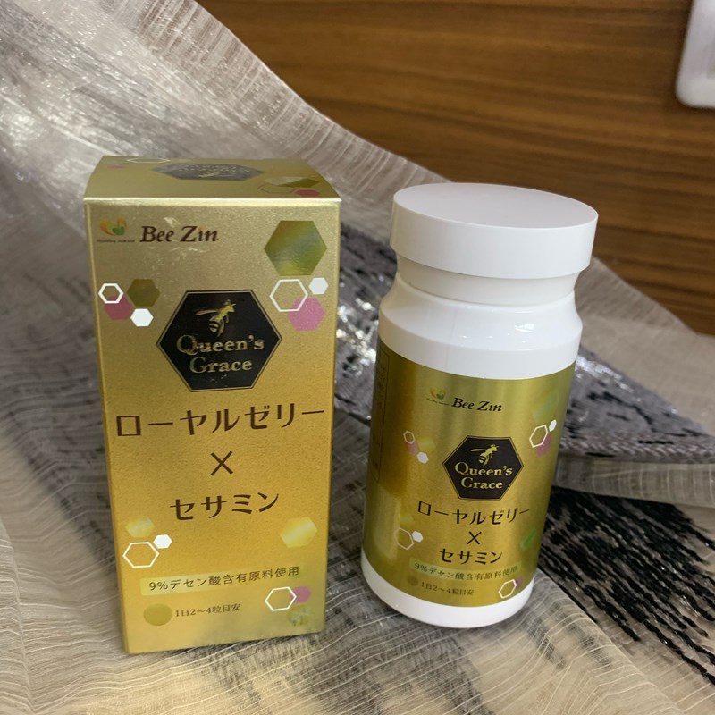 試用
