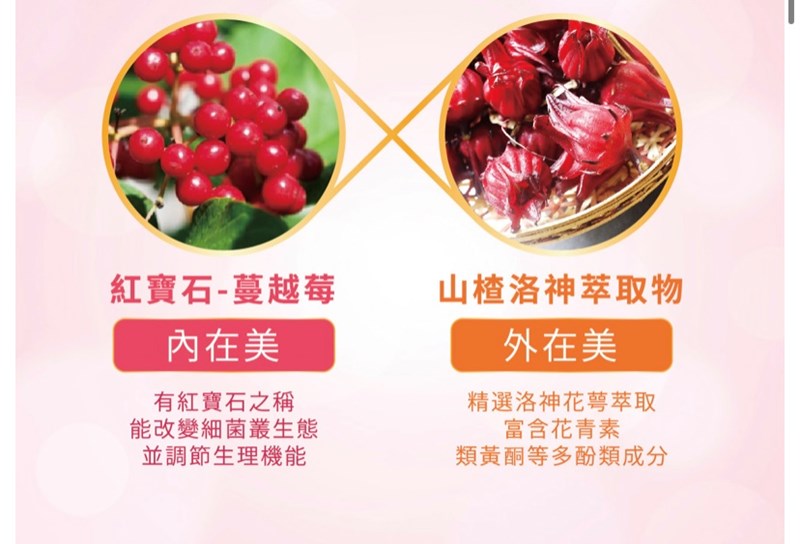 試用