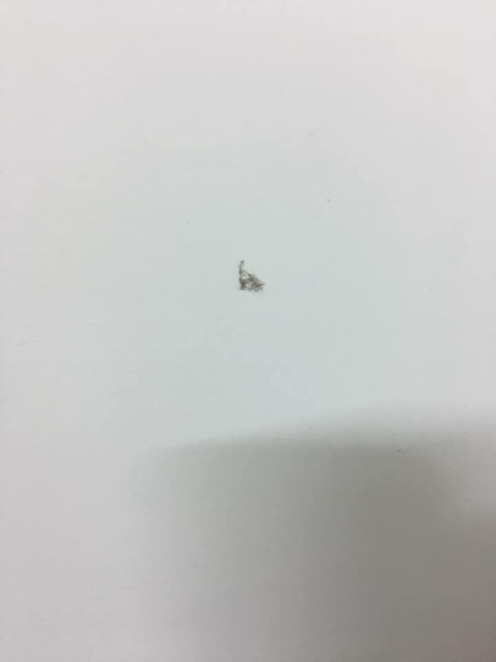 女人知己試用大隊,口碑行銷,部落客行銷,三新立潔 加強版 萬能去漬霸,柑橘萃取,柑橘香氣,輕鬆去汙,潔白如新,強力有效