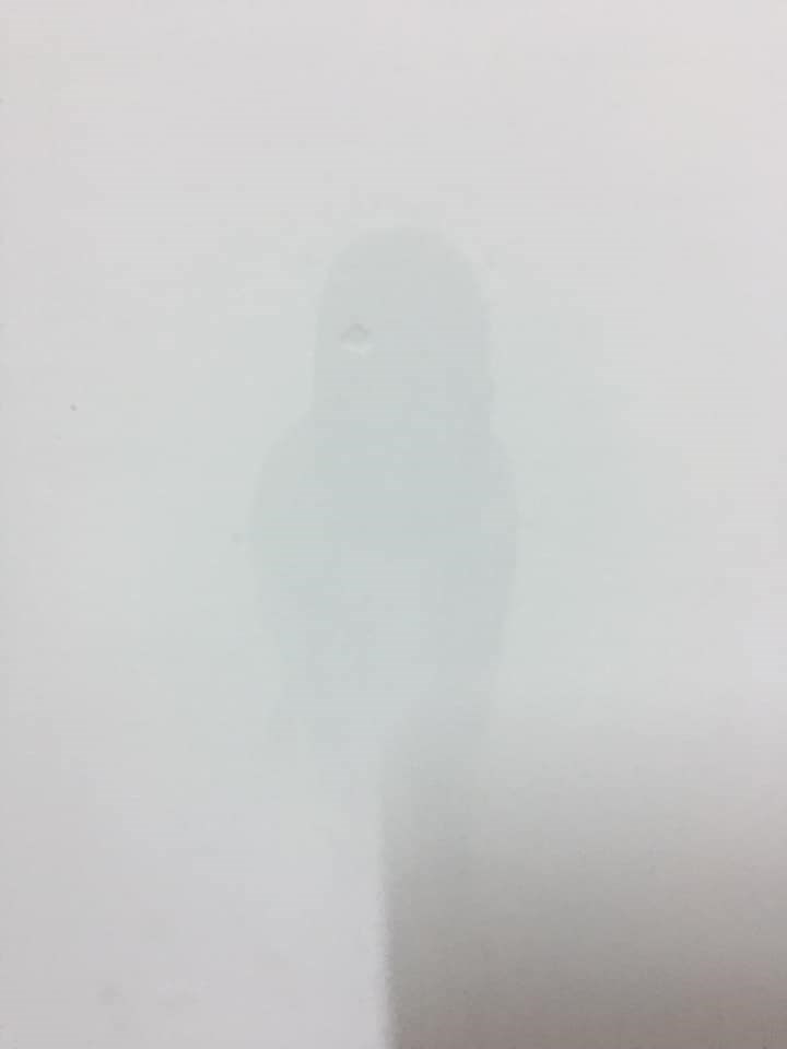 女人知己試用大隊,口碑行銷,部落客行銷,三新立潔 加強版 萬能去漬霸,柑橘萃取,柑橘香氣,輕鬆去汙,潔白如新,強力有效