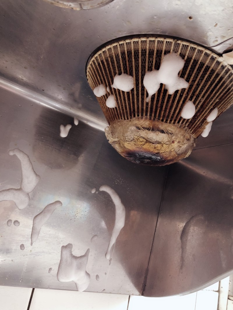 女人知己試用大隊,口碑行銷,部落客行銷,三新立潔 加強版 萬能去漬霸,柑橘萃取,柑橘香氣,輕鬆去汙,潔白如新,強力有效